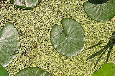 2024年BAFTA游戏大奖提名公布 获奖者4月12日揭晓